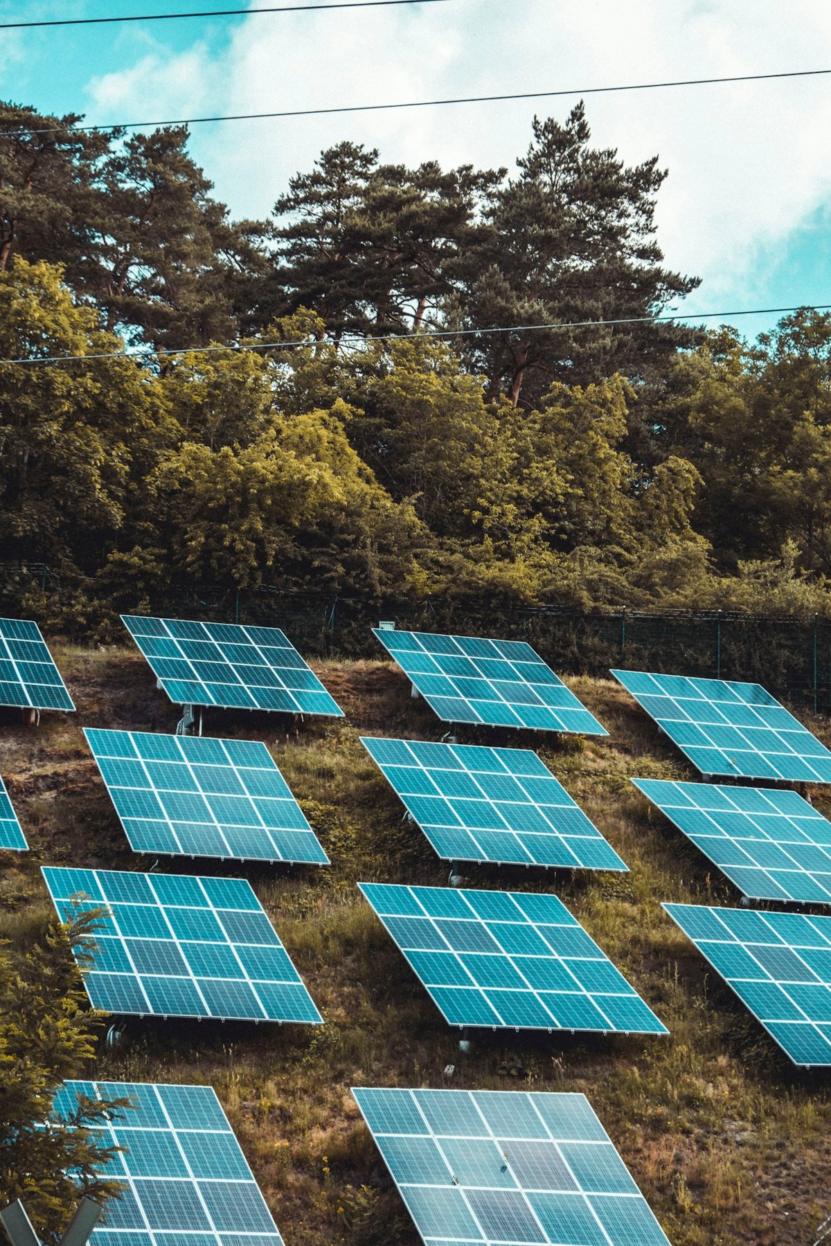 Bombeo Solar Oasis